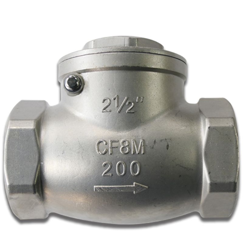 DN65 Check valve