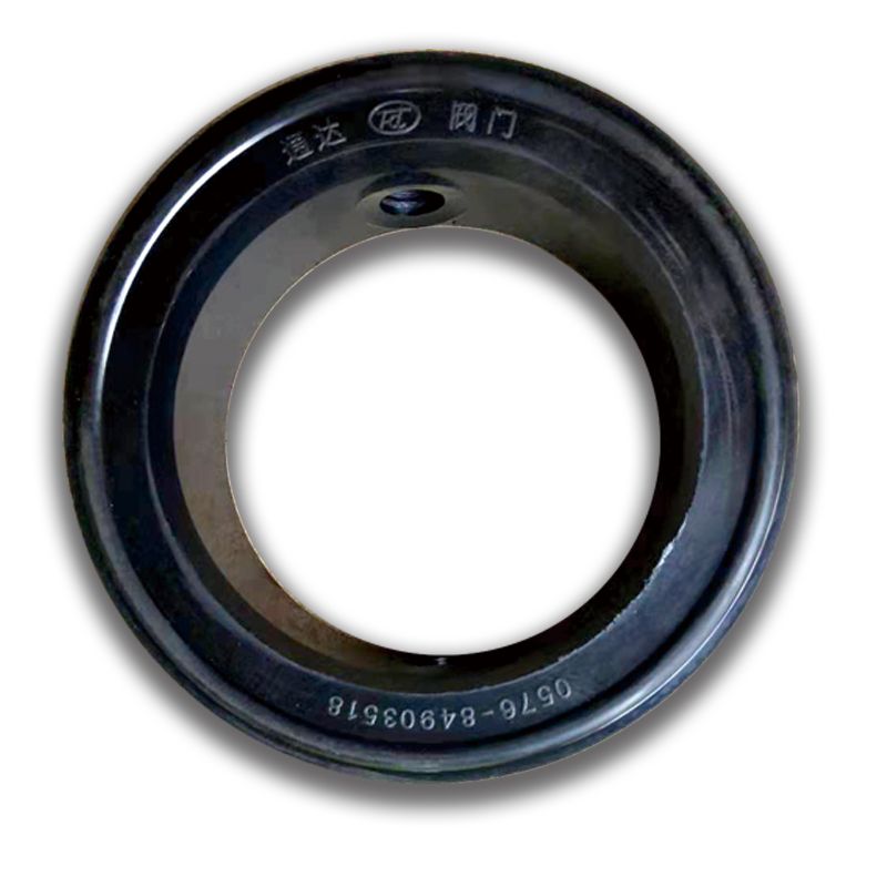 Butterfly valve DN100 sealing ring