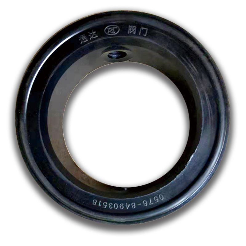 Butterfly valve DN125 sealing ring
